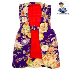 でんち ちゃんちゃんこ 女児 紋錦紗 正絹 草花 アンティーク着物 A-2774