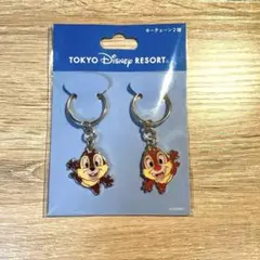 東京ディズニーリゾート チップとデール キーホルダー 2個セット
