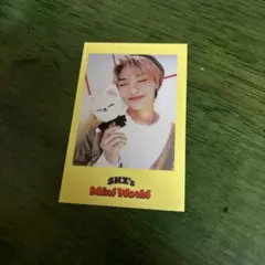 StrayKids アイエン 2023シーグリ特典