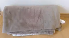 Item thumbnail for item c513cbb7-d9a1-4910-995e-2b4710dd6b05