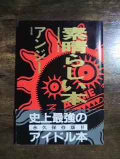 素晴らしい本 　アンジー　素晴らしい僕ら