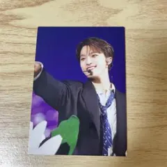 SEVENTEEN トレカ　ディノ