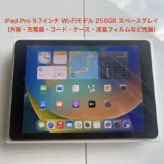 完動品iPad Pro9.7インチ(A1674)本体256GB送料込9GXQ9 - メルカリ