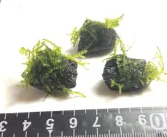 あきな様 リクエスト 2点 まとめ商品