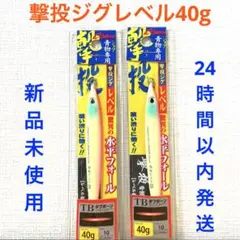 撃投ジグレベル 40g ピンクグロー 2点セット 激投ジグのサムネイル