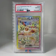 2026年最新】テラスタルフェス イーブイ psa10の人気アイテム - メルカリ