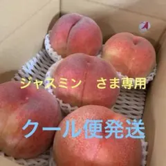 山梨一宮の木のてっぺんから収穫した めっちゃデカイ プレミアムピーチ 