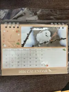 Item thumbnail for item 5d45e64a-a670-4ed4-a700-c753f68525d3