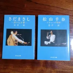 功夫高手 武壇春秋とVCDセット 彭武熾 - メルカリ