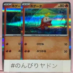 ホゲータ　ひだね　ぶつかる　R仕様　SVEL 2枚　pcg702