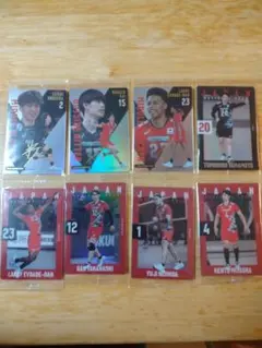 日本代表 バレーボール トレーディングカードセット