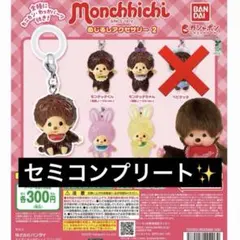 モンチッチ めじるしアクセサリー 2セミコンプリートセット