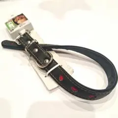 Item thumbnail for item 4e757879-3966-4544-9b50-359dd6881644