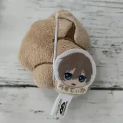 魔法使いの約束わちゃねむちゃーむ らすてぃか ラスティカ マスコット ぬいぐるみ