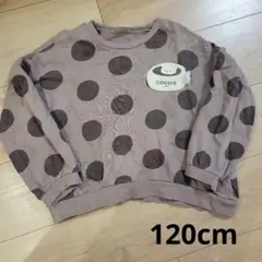 cocoa ドット柄 トレーナー 120cm