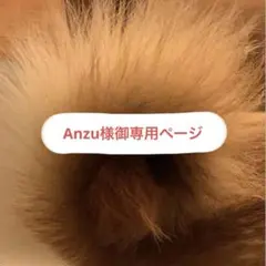 Anzu様御専用ページ　革タグ