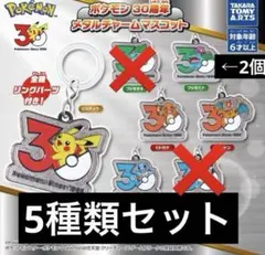 ポケモン　30周年　メタルチャームマスコット　ピカチュウ　POKEMON 5種類