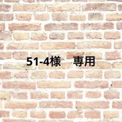 51-4様 リクエスト 5点 まとめ商品