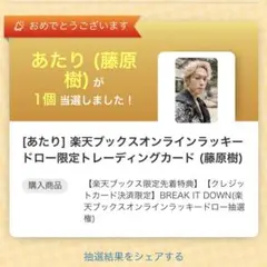 BREAK IT DOWN トレーディングカード (藤原樹)