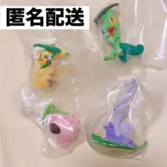 ポケモン しとしとあまやどり キモリ ピィ ピカチュウ ヌメイル