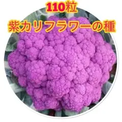 マリー（即購入大歓迎)様 リクエスト 2点 まとめ商品