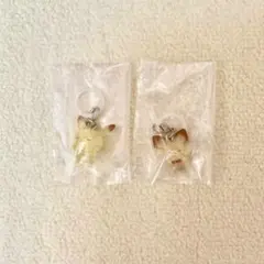 ポケピース ポケモン めじるしアクセサリー ピカチュウ ピチュー