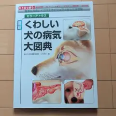 カラーアトラス麻布 2024 2026年最新】カラーアトラス 麻布の人気アイテム - メルカリ