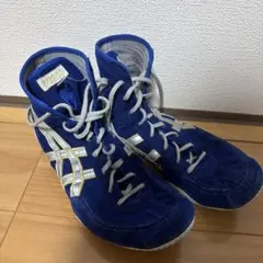 レスリングシューズ 廃盤モデル ASICS 青/黒/金 29cm - メルカリ
