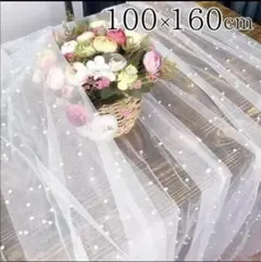 Item thumbnail for item bfddeaae-644e-405b-b8ad-40483cd8408f