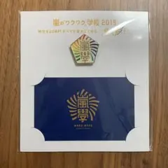 嵐 復刻版 校章バッジ ワクワク学校2019