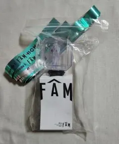 FAM　We're timelesz LIVE TOUR　ペンライト　ペンラ