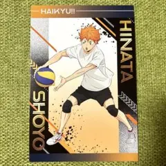 【日向】　ユース 擬似ユース 合宿フェア 購入特典