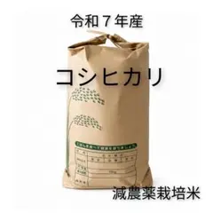 佐渡産 無農薬コシヒカリ 白米10kg - メルカリ