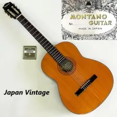 2025年最新】montano ギターの人気アイテム - メルカリ