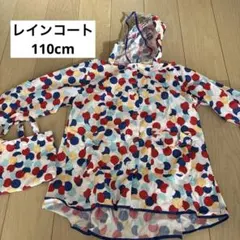 Item thumbnail for item e3a86247-1144-498f-8a5f-ee0cde95bba4