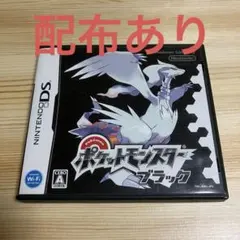 ポケモン　ブラック　ds ソフト