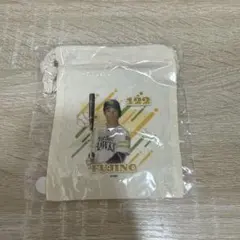 若鷹ガチャ 育成ver 藤野恵音 巾着