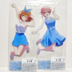 五等分の花嫁 きゃらっとくじ A賞 メガBIGアクリルスタンド 五月