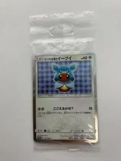 ポンチョを着たイーブイ 未開封 グレイシア ポンチョを着たイーブイ 未開封 グレイシア ポンチョを着た