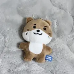 ミニティーン ディノ チャンダリ ぬいぐるみ CHANDALEE キーリング