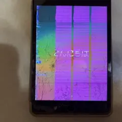 【ジャンク品】iPad mini 第5世代　256GB（液晶漏れ）画面割れ