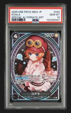2026年最新】コアラ SPの人気アイテム - メルカリ