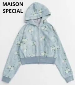 Item thumbnail for item 97cb5b46-35ea-4cda-87fa-f7e97b1b8769