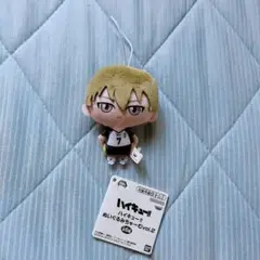新品未使用！ハイキュー!! ぬいぐるみちゃーむvol.2 木葉秋紀 マスコット