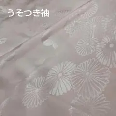 うそつき袖 替え袖 化繊 薄ピンク×ホワイト ぼかし 花 菊 雲 地模様 つけ袖のサムネイル