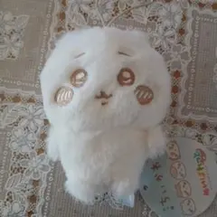 とろきち様 リクエスト 2点 まとめ商品