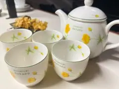 hiromichi nakano 花柄　ティーポット　ティーカップ　セット