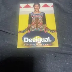 デシグアル　レディースカタログ2015年