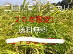 岐阜県揖斐郡産 2025年度 コシヒカリ 20kg - メルカリ
