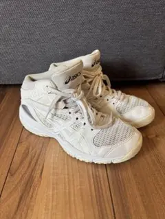 asics アシックス バスケットシューズ　ダンクショット　22.0cm